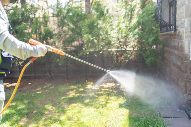 Seasonal Pest Control in Dumfries, VA